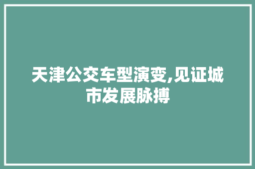 天津公交车型演变,见证城市发展脉搏