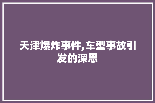 天津爆炸事件,车型事故引发的深思