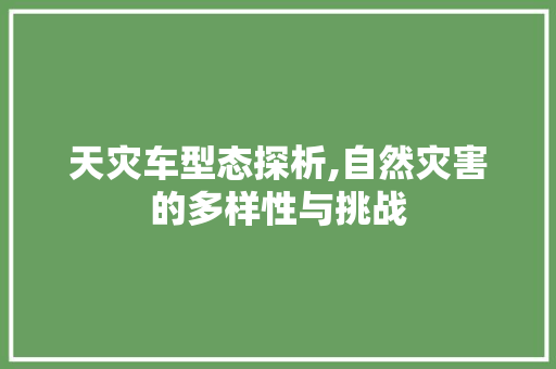 天灾车型态探析,自然灾害的多样性与挑战