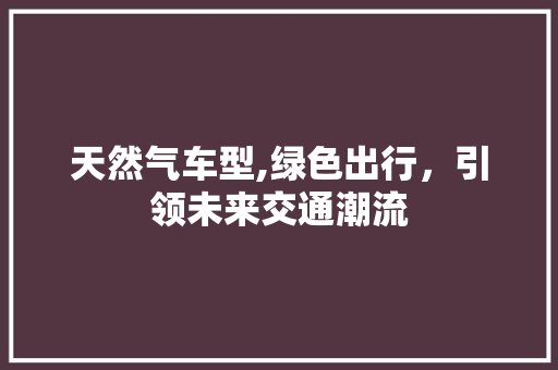 天然气车型,绿色出行，引领未来交通潮流
