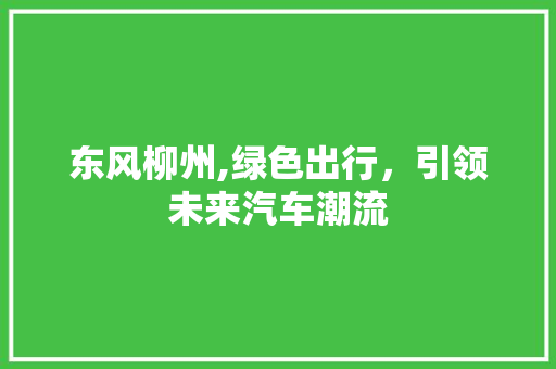 东风柳州,绿色出行，引领未来汽车潮流 汽车配件