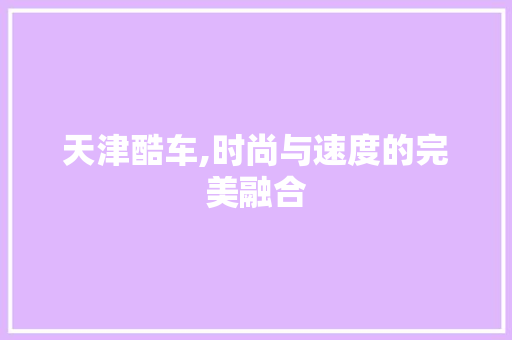 天津酷车,时尚与速度的完美融合
