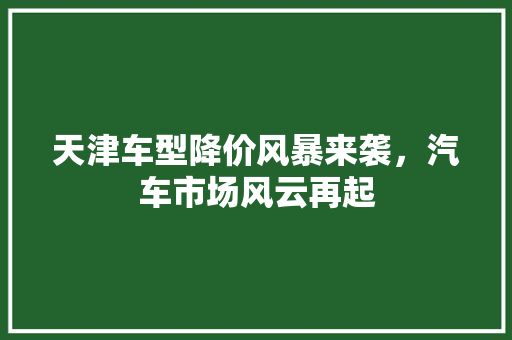天津车型降价风暴来袭，汽车市场风云再起