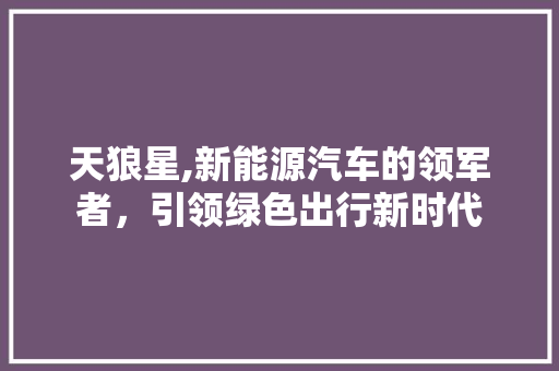 天狼星,新能源汽车的领军者，引领绿色出行新时代