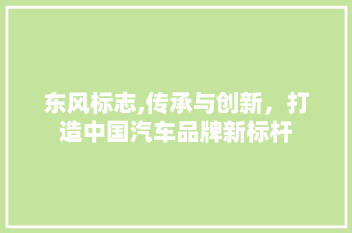 东风标志,传承与创新，打造中国汽车品牌新标杆 蓄电池配件