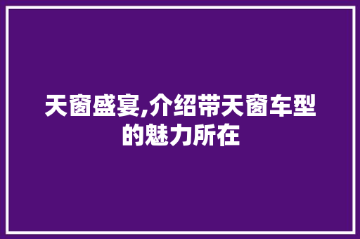天窗盛宴,介绍带天窗车型的魅力所在