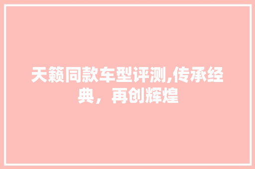 天籁同款车型评测,传承经典，再创辉煌