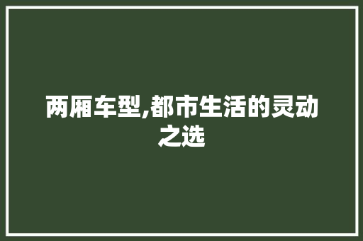 两厢车型,都市生活的灵动之选 新能源汽车