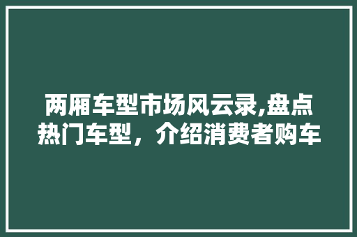两厢车型市场风云录,盘点热门车型，介绍消费者购车偏好 新能源汽车