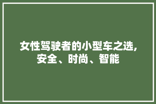 女性驾驶者的小型车之选,安全、时尚、智能