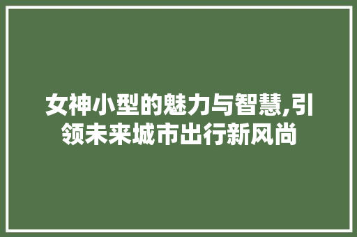 女神小型的魅力与智慧,引领未来城市出行新风尚