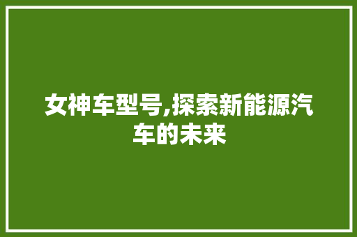 女神车型号,探索新能源汽车的未来