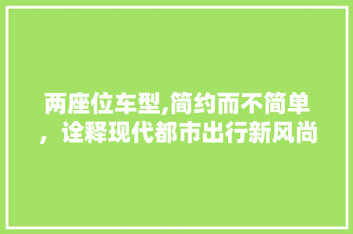 两座位车型,简约而不简单，诠释现代都市出行新风尚 车灯配件
