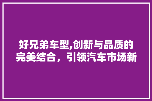 好兄弟车型,创新与品质的完美结合，引领汽车市场新潮流