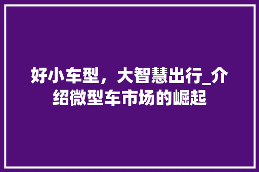 好小车型，大智慧出行_介绍微型车市场的崛起
