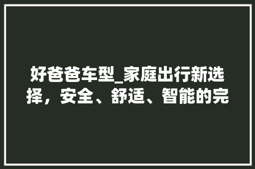 好爸爸车型_家庭出行新选择，安全、舒适、智能的完美融合