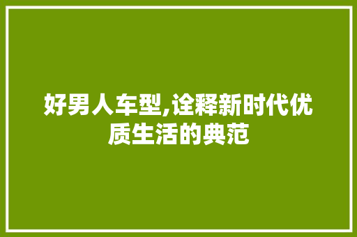 好男人车型,诠释新时代优质生活的典范