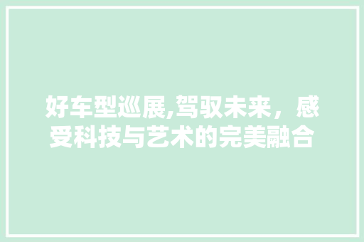 好车型巡展,驾驭未来，感受科技与艺术的完美融合
