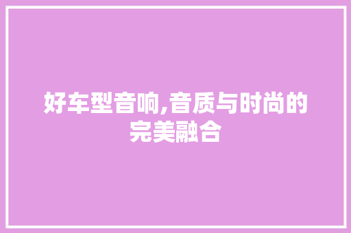 好车型音响,音质与时尚的完美融合