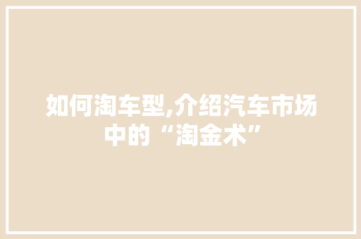如何淘车型,介绍汽车市场中的“淘金术”