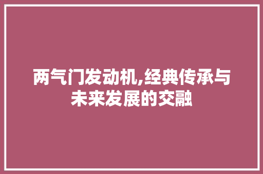 两气门发动机,经典传承与未来发展的交融