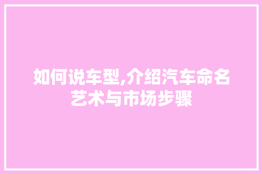 如何说车型,介绍汽车命名艺术与市场步骤