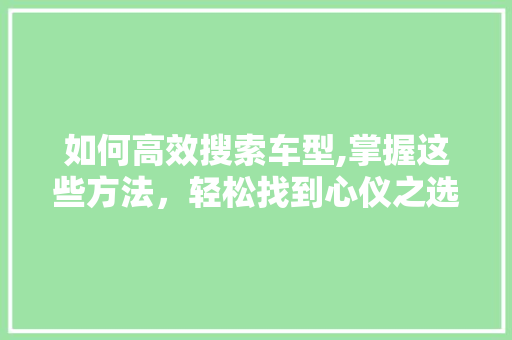 如何高效搜索车型,掌握这些方法，轻松找到心仪之选