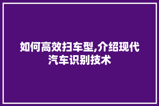 如何高效扫车型,介绍现代汽车识别技术