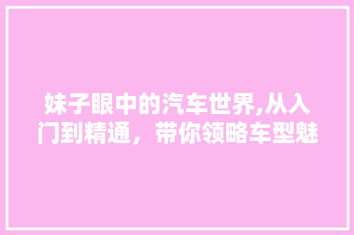 妹子眼中的汽车世界,从入门到精通，带你领略车型魅力