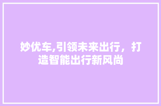 妙优车,引领未来出行，打造智能出行新风尚