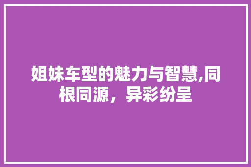 姐妹车型的魅力与智慧,同根同源，异彩纷呈