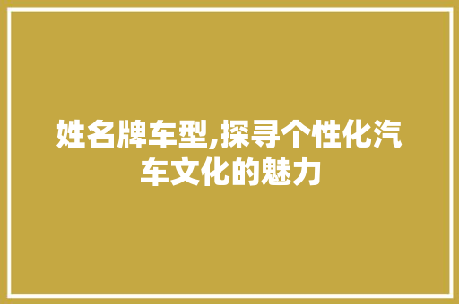 姓名牌车型,探寻个性化汽车文化的魅力