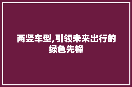 两竖车型,引领未来出行的绿色先锋 汽车配件