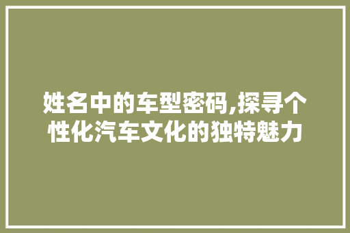 姓名中的车型密码,探寻个性化汽车文化的独特魅力