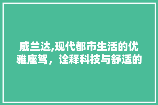 威兰达,现代都市生活的优雅座驾，诠释科技与舒适的完美融合