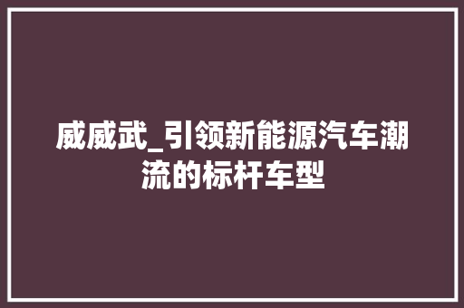 威威武_引领新能源汽车潮流的标杆车型