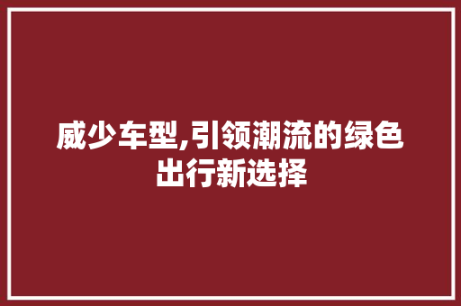 威少车型,引领潮流的绿色出行新选择