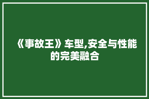 《事故王》车型,安全与性能的完美融合