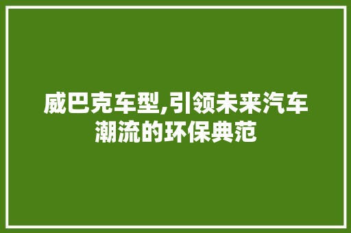 威巴克车型,引领未来汽车潮流的环保典范