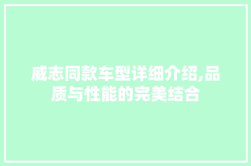 威志同款车型详细介绍,品质与性能的完美结合