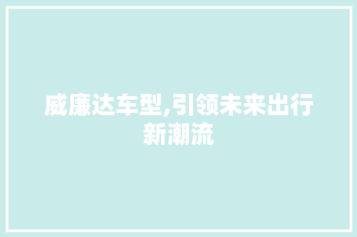 威廉达车型,引领未来出行新潮流