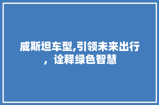 威斯坦车型,引领未来出行，诠释绿色智慧