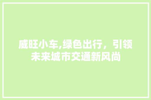 威旺小车,绿色出行，引领未来城市交通新风尚