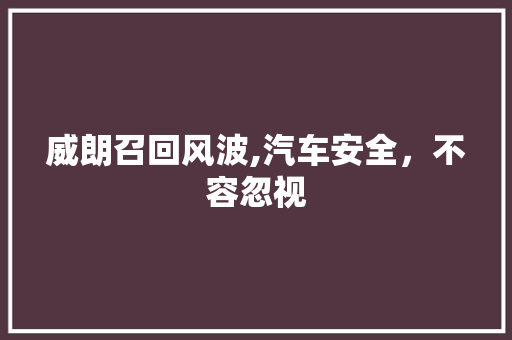 威朗召回风波,汽车安全，不容忽视