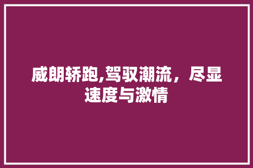 威朗轿跑,驾驭潮流，尽显速度与激情
