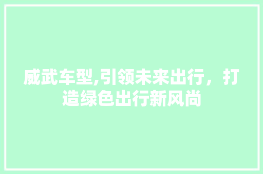 威武车型,引领未来出行，打造绿色出行新风尚