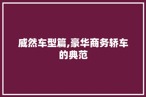 威然车型篇,豪华商务轿车的典范