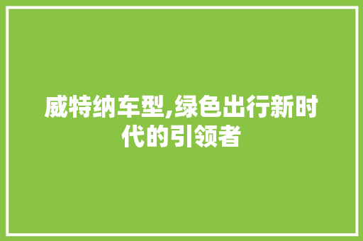 威特纳车型,绿色出行新时代的引领者
