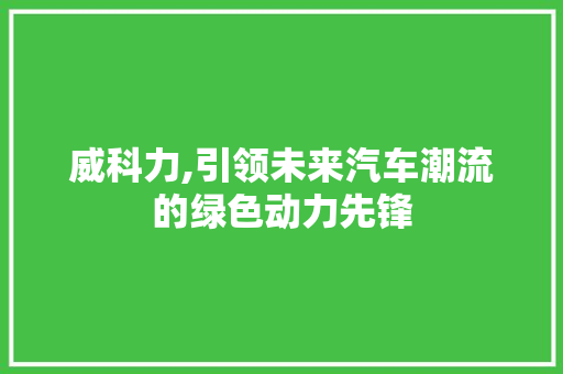 威科力,引领未来汽车潮流的绿色动力先锋