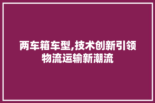 两车箱车型,技术创新引领物流运输新潮流 汽车配件